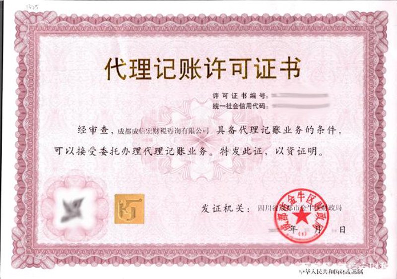 成都财税咨询
